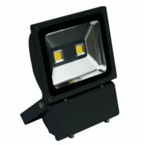 100W Black Series Flood Light