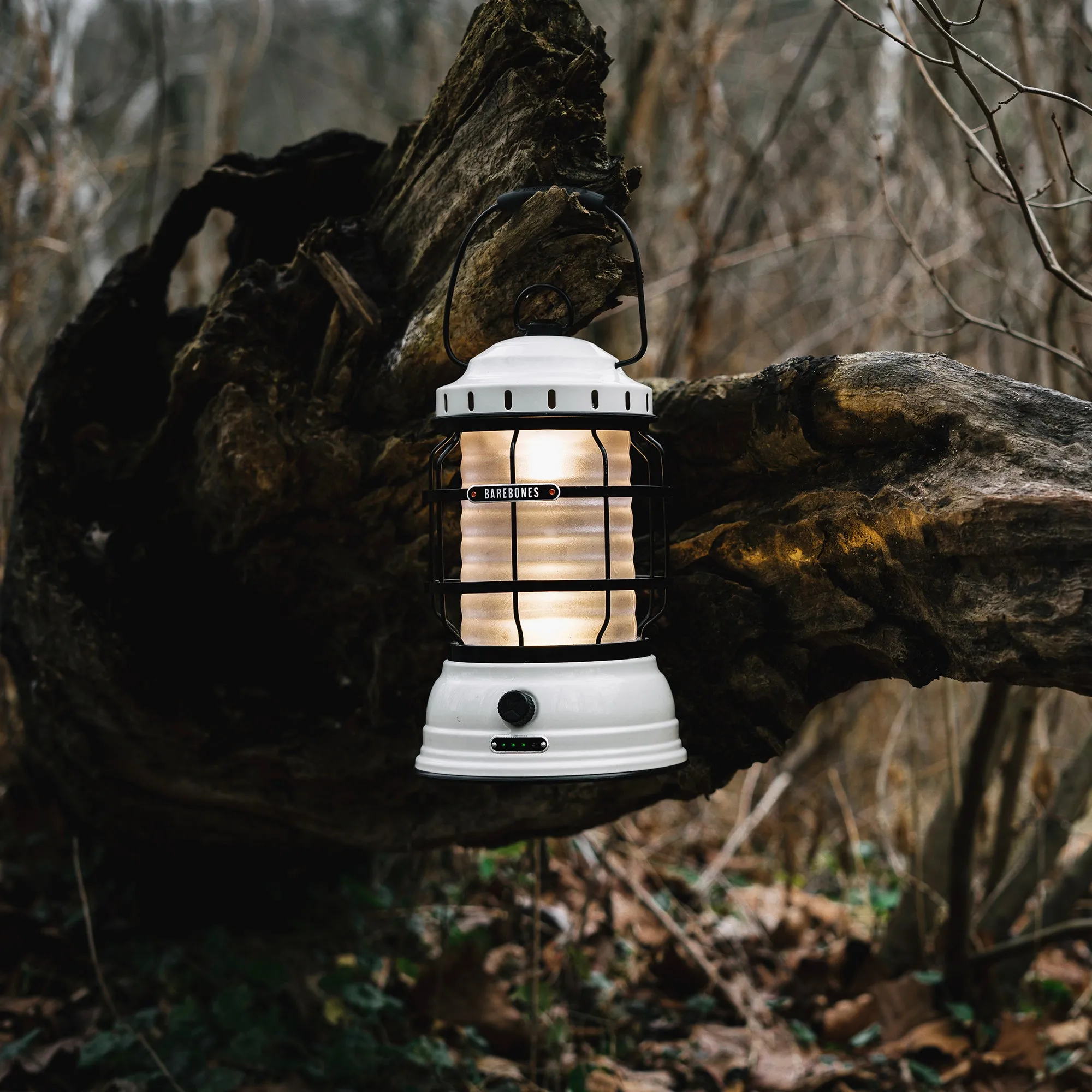 Forest Lantern