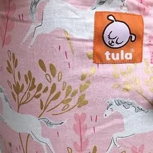 Tula Toddler Carrier - Frolic